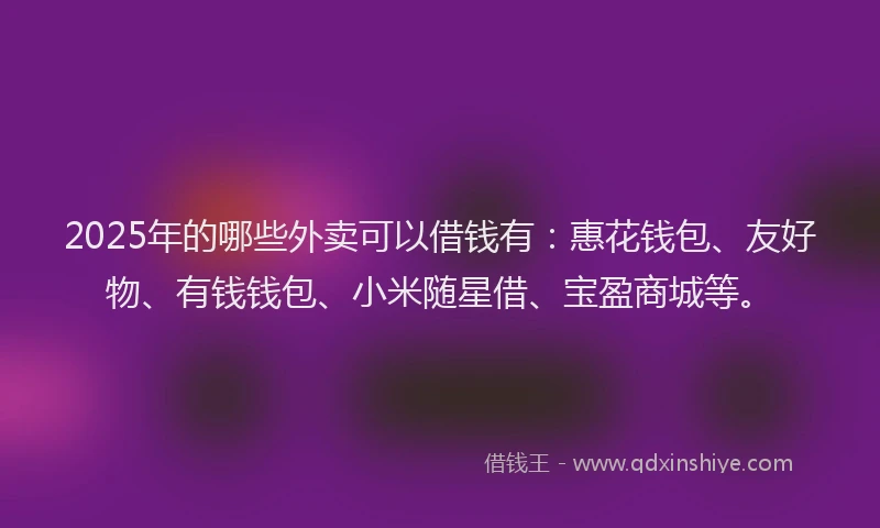 2025年的哪些外卖可以借钱有：惠花钱包、友好物、有钱钱包、小米随星借、宝盈商城等。