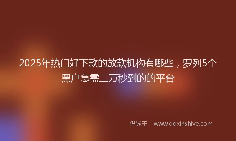 2025年热门好下款的放款机构有哪些，罗列5个黑户急需三万秒到的的平台