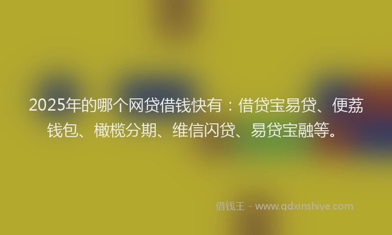 2025年的哪个网贷借钱快有：借贷宝易贷、便荔钱包、橄榄分期、维信闪贷、易贷宝融等。