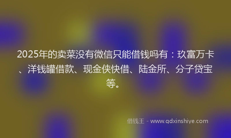 2025年的卖菜没有微信只能借钱吗有：玖富万卡、洋钱罐借款、现金侠快借、陆金所、分子贷宝等。