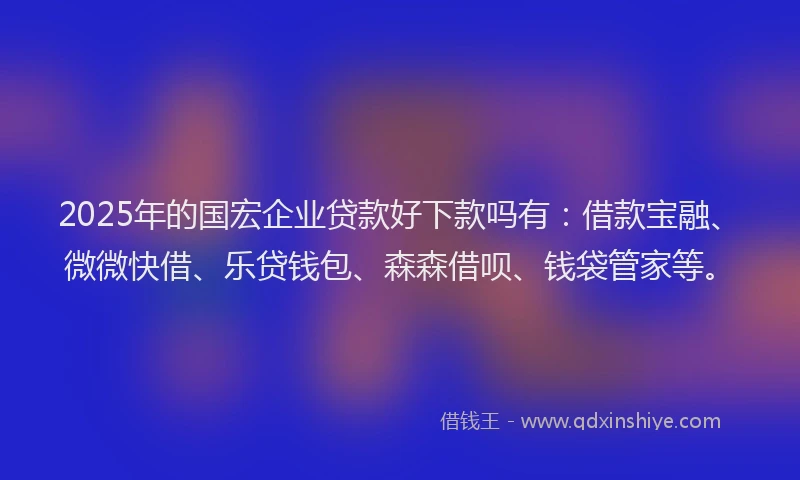 2025年的国宏企业贷款好下款吗有：借款宝融、微微快借、乐贷钱包、森森借呗、钱袋管家等。