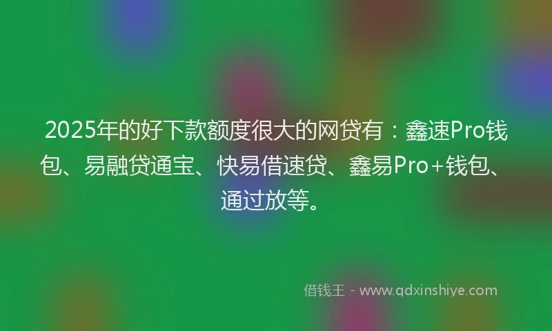 2025年的好下款额度很大的网贷有：鑫速Pro钱包、易融贷通宝、快易借速贷、鑫易Pro+钱包、通过放等。