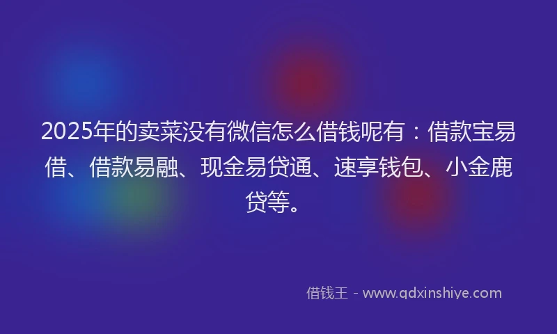 2025年的卖菜没有微信怎么借钱呢有：借款宝易借、借款易融、现金易贷通、速享钱包、小金鹿贷等。