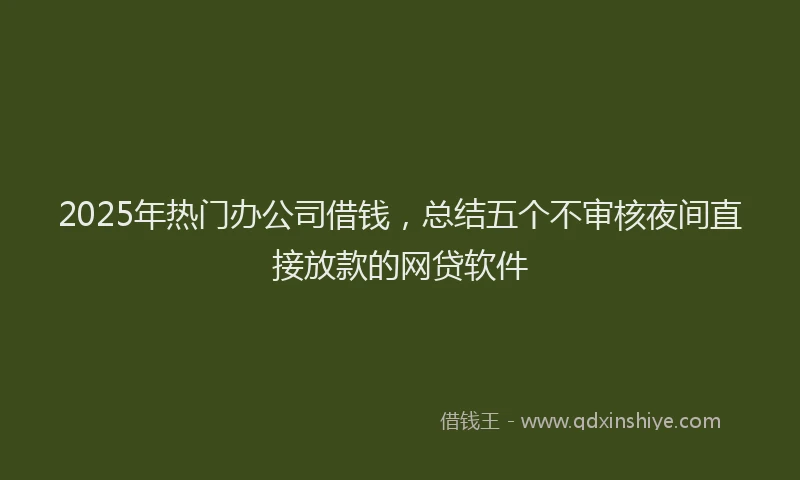 2025年热门办公司借钱，总结五个不审核夜间直接放款的网贷软件
