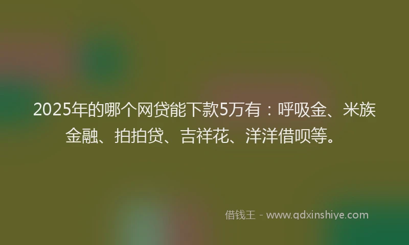 2025年的哪个网贷能下款5万有：呼吸金、米族金融、拍拍贷、吉祥花、洋洋借呗等。