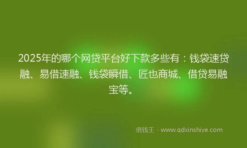 2025年的哪个网贷平台好下款多些有：钱袋速贷融、易借速融、钱袋瞬借、匠也商城、借贷易融宝等。
