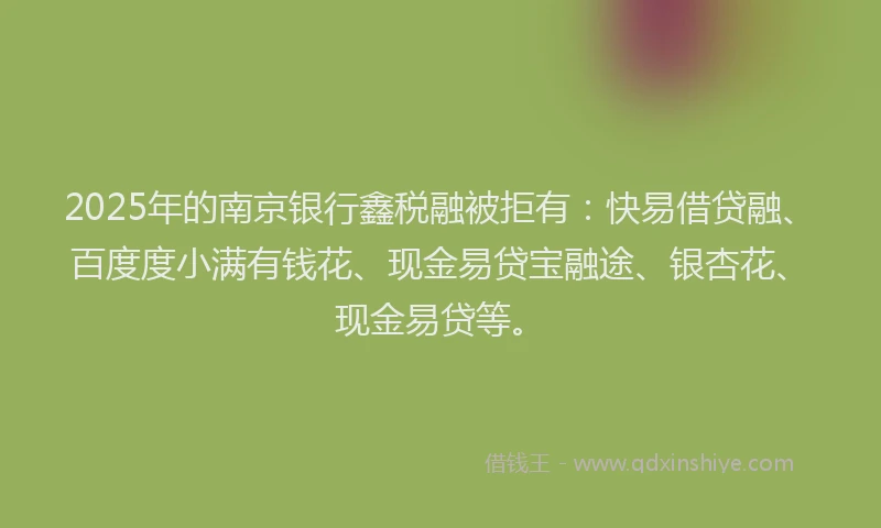 2025年的南京银行鑫税融被拒有：快易借贷融、百度度小满有钱花、现金易贷宝融途、银杏花、现金易贷等。