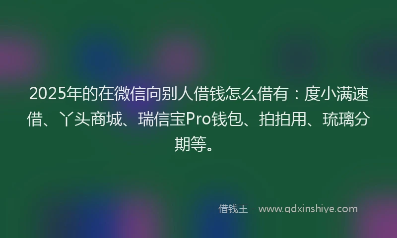 2025年的在微信向别人借钱怎么借有：度小满速借、丫头商城、瑞信宝Pro钱包、拍拍用、琉璃分期等。
