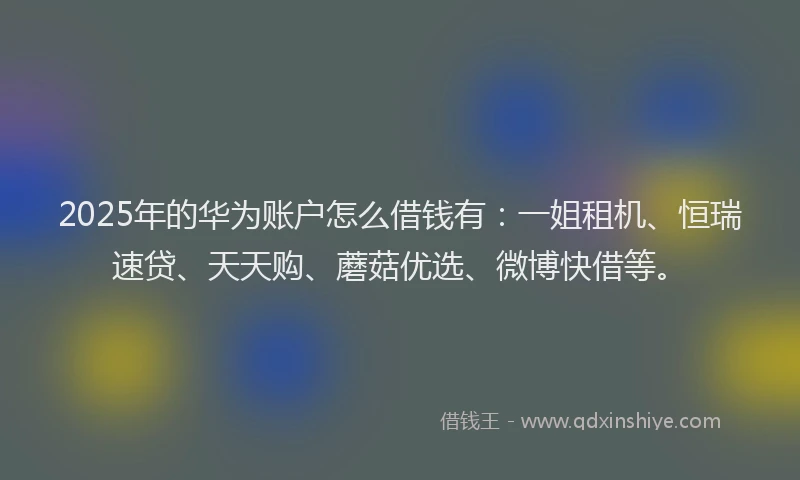 2025年的华为账户怎么借钱有：一姐租机、恒瑞速贷、天天购、蘑菇优选、微博快借等。