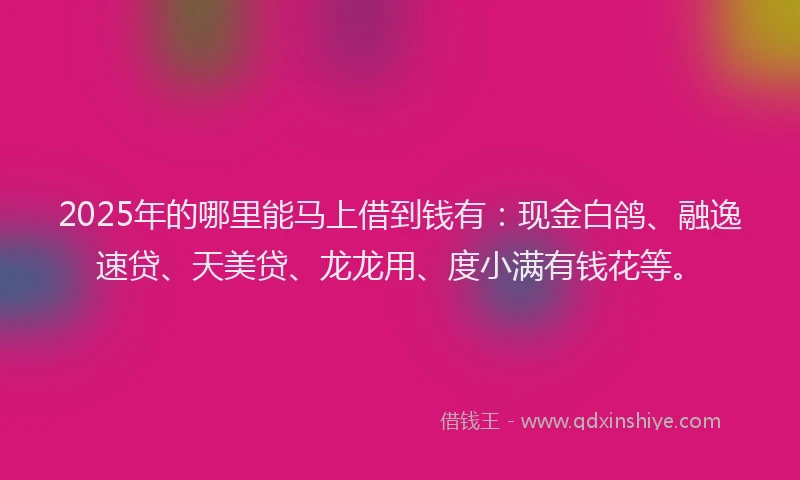 2025年的哪里能马上借到钱有：现金白鸽、融逸速贷、天美贷、龙龙用、度小满有钱花等。