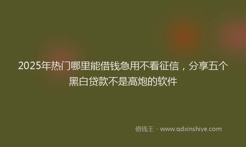 2025年热门哪里能借钱急用不看征信，分享五个黑白贷款不是高炮的软件