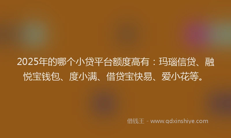 2025年的哪个小贷平台额度高有：玛瑙信贷、融悦宝钱包、度小满、借贷宝快易、爱小花等。