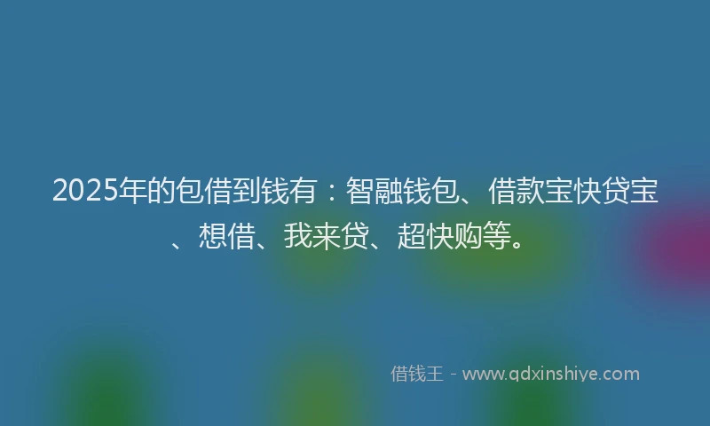 2025年的包借到钱有：智融钱包、借款宝快贷宝、想借、我来贷、超快购等。