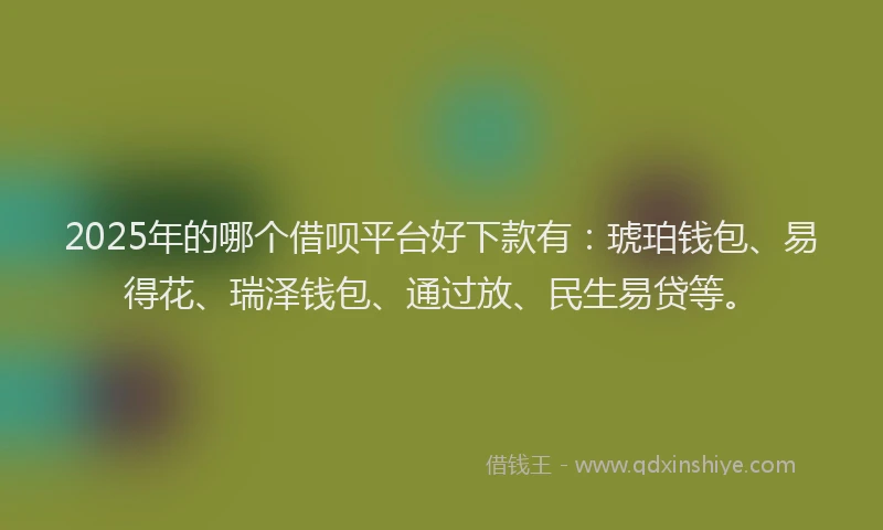 2025年的哪个借呗平台好下款有：琥珀钱包、易得花、瑞泽钱包、通过放、民生易贷等。