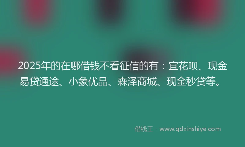 2025年的在哪借钱不看征信的有：宜花呗、现金易贷通途、小象优品、森泽商城、现金秒贷等。