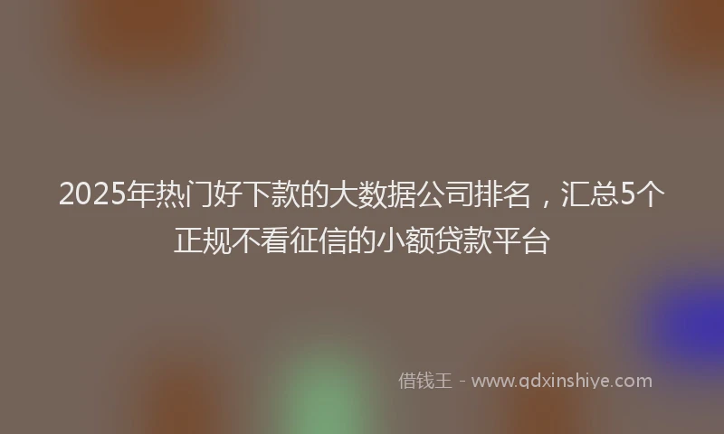 2025年热门好下款的大数据公司排名，汇总5个正规不看征信的小额贷款平台
