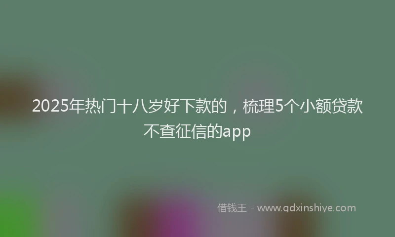 2025年热门十八岁好下款的，梳理5个小额贷款不查征信的app