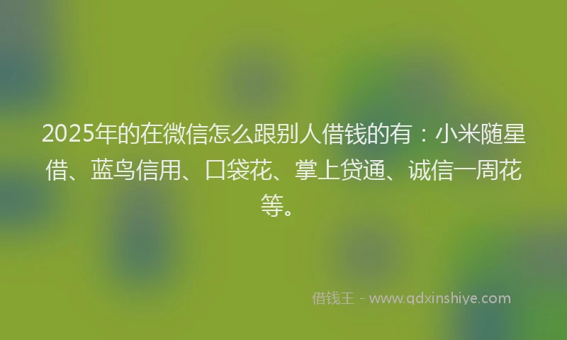 2025年的在微信怎么跟别人借钱的有：小米随星借、蓝鸟信用、口袋花、掌上贷通、诚信一周花等。