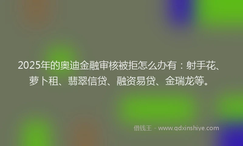 2025年的奥迪金融审核被拒怎么办有：射手花、萝卜租、翡翠信贷、融资易贷、金瑞龙等。