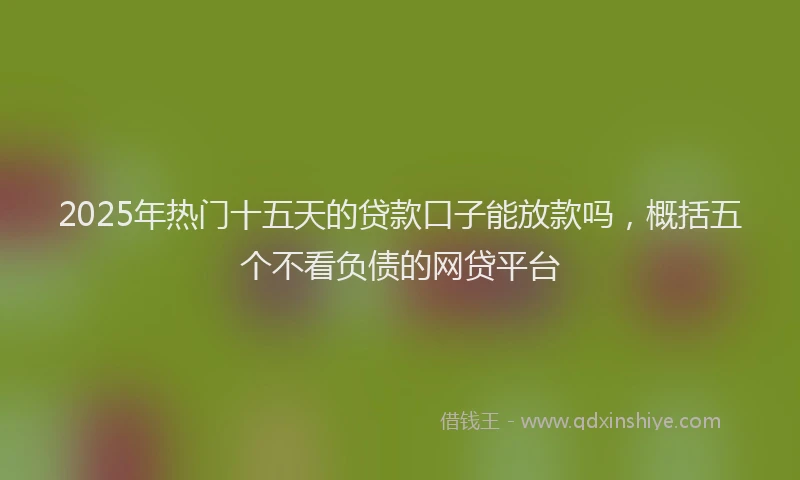 2025年热门十五天的贷款口子能放款吗，概括五个不看负债的网贷平台