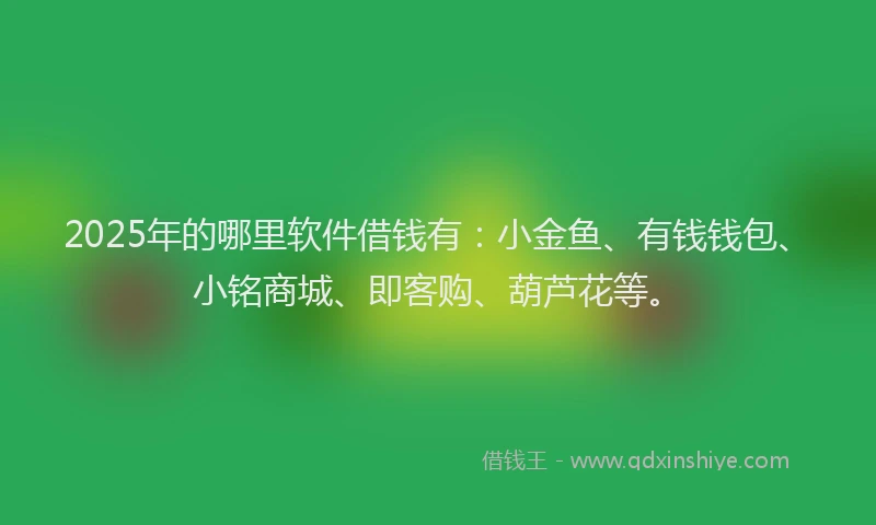 2025年的哪里软件借钱有：小金鱼、有钱钱包、小铭商城、即客购、葫芦花等。