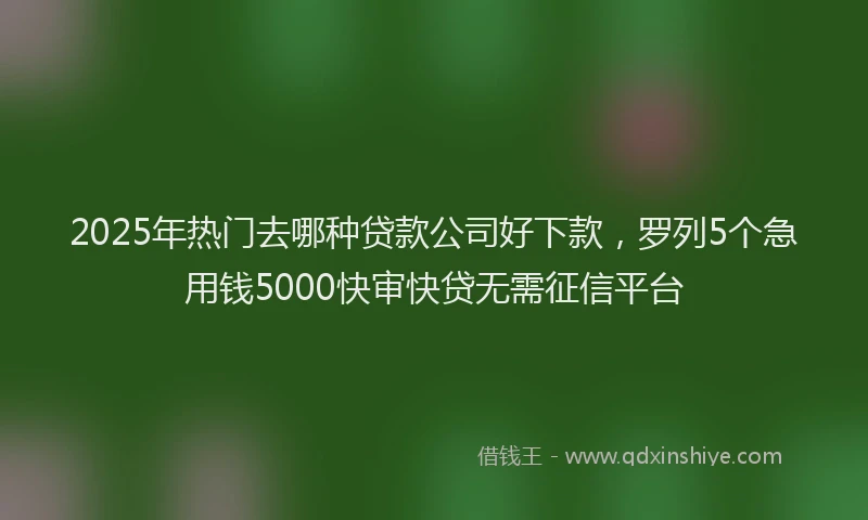 2025年热门去哪种贷款公司好下款，罗列5个急用钱5000快审快贷无需征信平台
