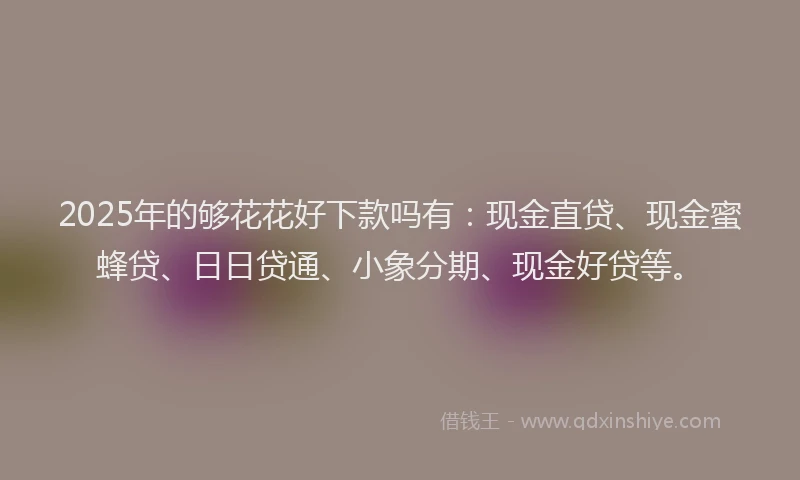 2025年的够花花好下款吗有：现金直贷、现金蜜蜂贷、日日贷通、小象分期、现金好贷等。