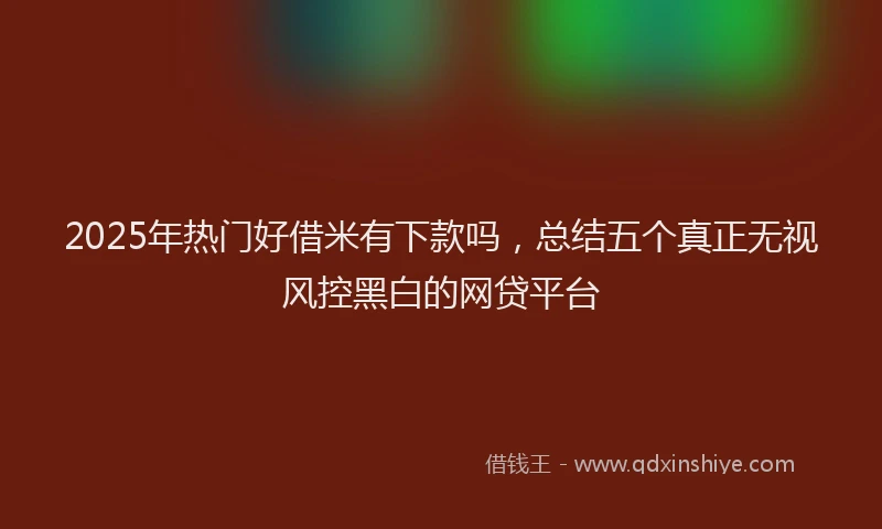 2025年热门好借米有下款吗，总结五个真正无视风控黑白的网贷平台