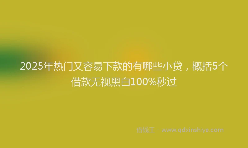 2025年热门又容易下款的有哪些小贷，概括5个借款无视黑白100%秒过