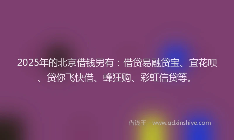 2025年的北京借钱男有：借贷易融贷宝、宜花呗、贷你飞快借、蜂狂购、彩虹信贷等。