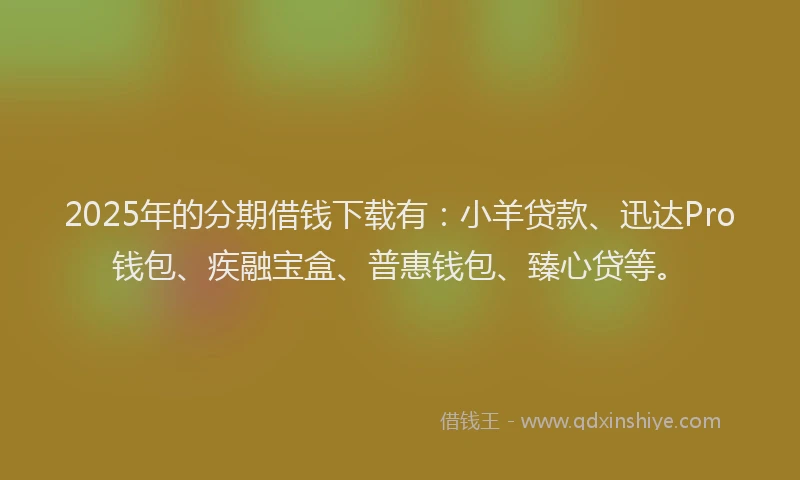 2025年的分期借钱下载有：小羊贷款、迅达Pro钱包、疾融宝盒、普惠钱包、臻心贷等。