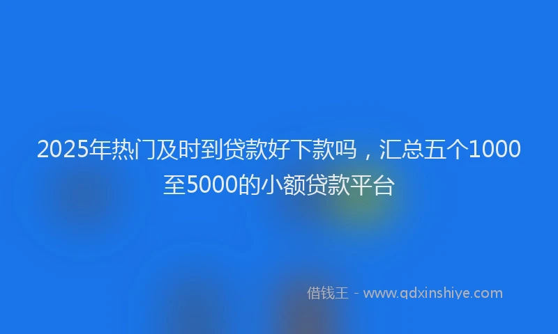 2025年热门及时到贷款好下款吗，汇总五个1000至5000的小额贷款平台