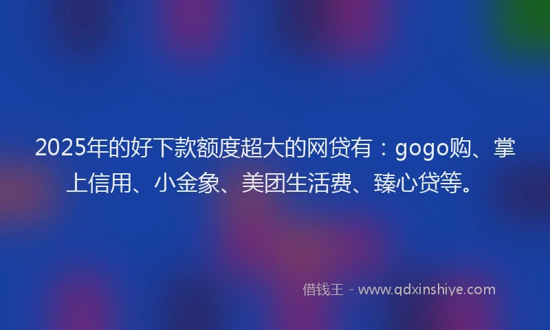 2025年的好下款额度超大的网贷有：gogo购、掌上信用、小金象、美团生活费、臻心贷等。