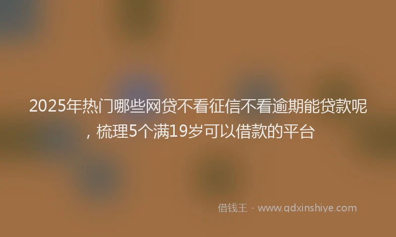 2025年热门哪些网贷不看征信不看逾期能贷款呢，梳理5个满19岁可以借款的平台