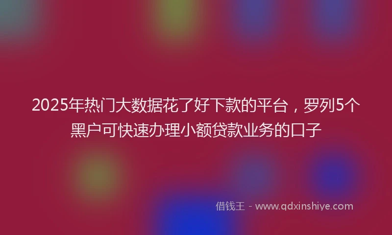 2025年热门大数据花了好下款的平台，罗列5个黑户可快速办理小额贷款业务的口子