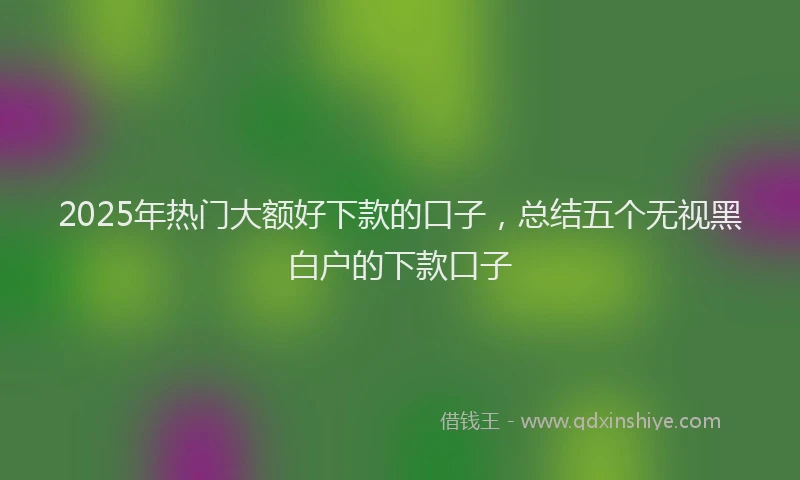 2025年热门大额好下款的口子，总结五个无视黑白户的下款口子