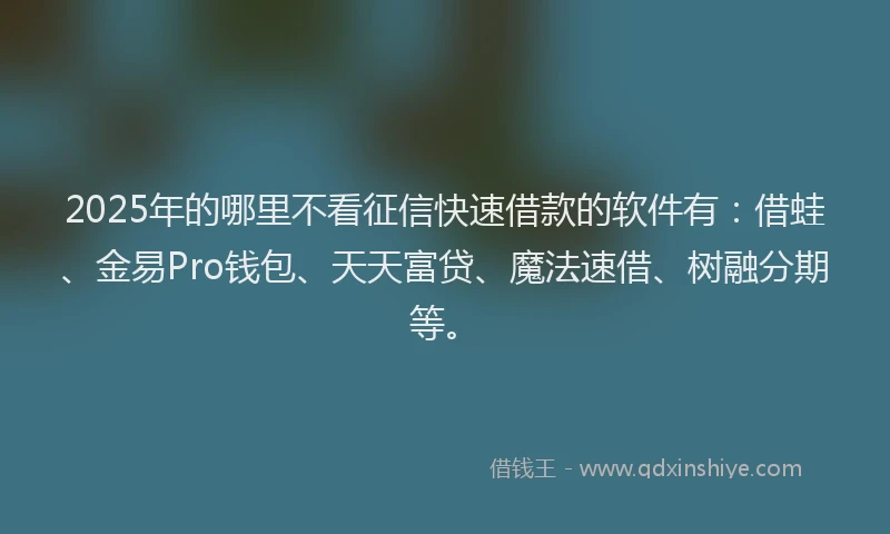 2025年的哪里不看征信快速借款的软件有：借蛙、金易Pro钱包、天天富贷、魔法速借、树融分期等。
