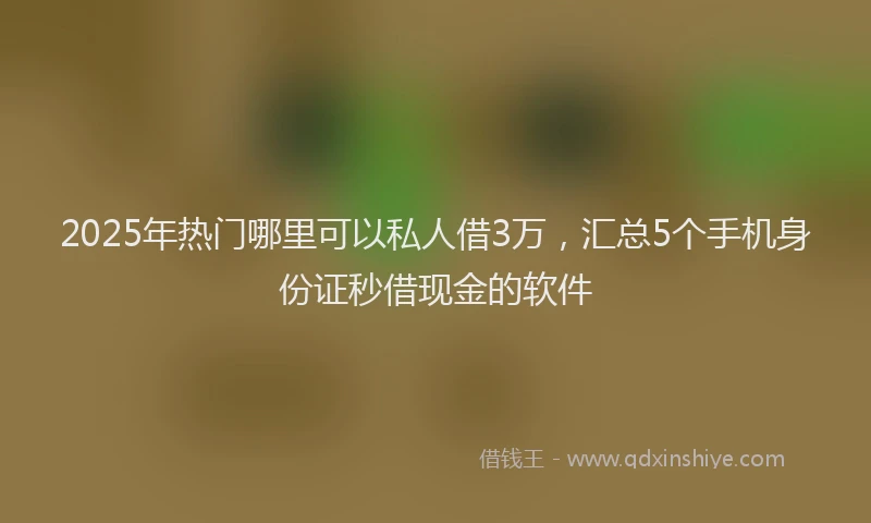 2025年热门哪里可以私人借3万，汇总5个手机身份证秒借现金的软件