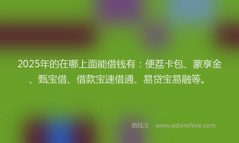 2025年的在哪上面能借钱有：便荔卡包、蒙享金、甄宝借、借款宝速借通、易贷宝易融等。