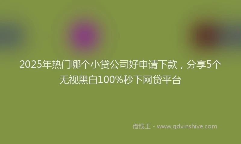 2025年热门哪个小贷公司好申请下款，分享5个无视黑白100%秒下网贷平台