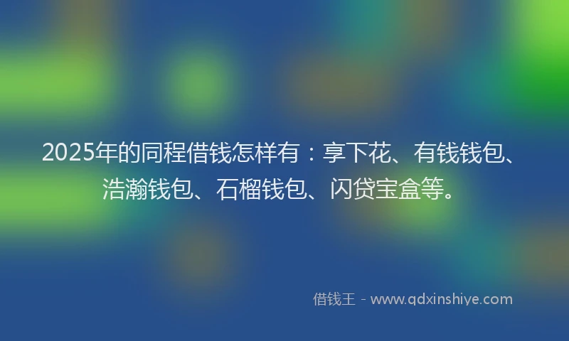 2025年的同程借钱怎样有：享下花、有钱钱包、浩瀚钱包、石榴钱包、闪贷宝盒等。