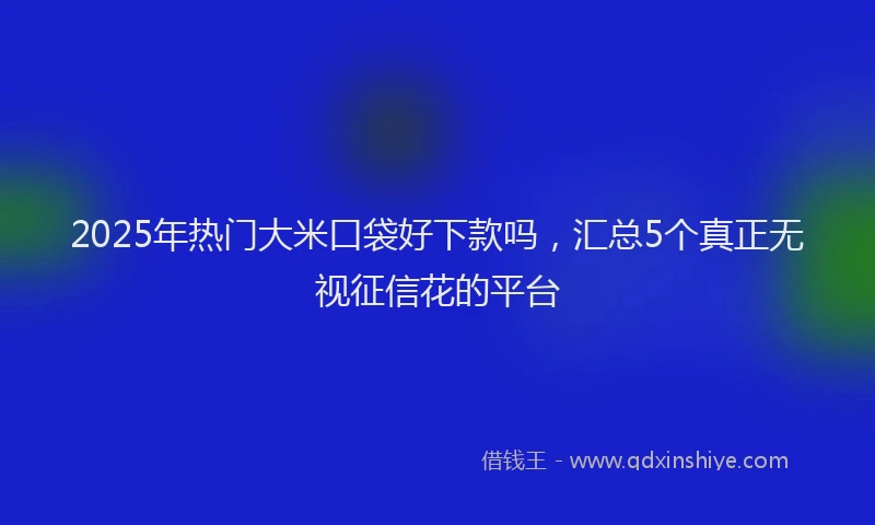 2025年热门大米口袋好下款吗，汇总5个真正无视征信花的平台