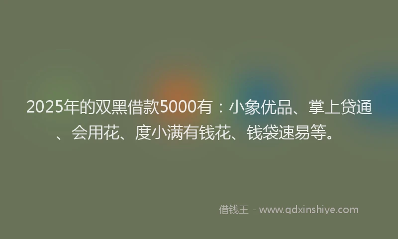 2025年的双黑借款5000有：小象优品、掌上贷通、会用花、度小满有钱花、钱袋速易等。
