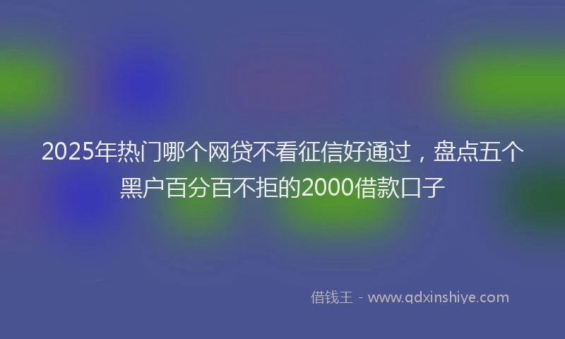 2025年热门哪个网贷不看征信好通过，盘点五个黑户百分百不拒的2000借款口子