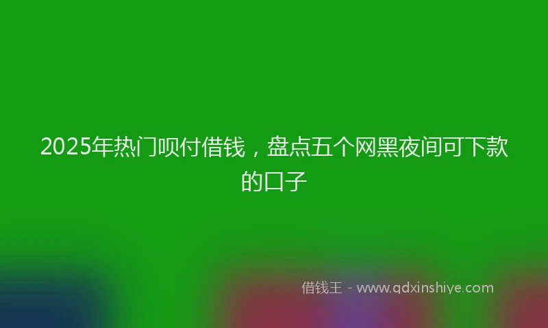 2025年热门呗付借钱，盘点五个网黑夜间可下款的口子