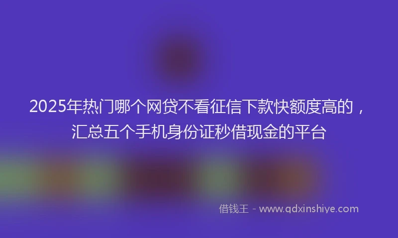 2025年热门哪个网贷不看征信下款快额度高的，汇总五个手机身份证秒借现金的平台