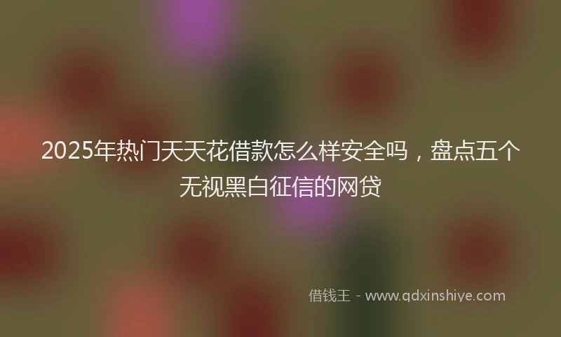 2025年热门天天花借款怎么样安全吗，盘点五个无视黑白征信的网贷