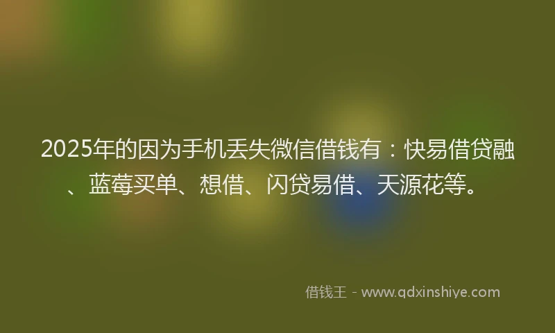 2025年的因为手机丢失微信借钱有：快易借贷融、蓝莓买单、想借、闪贷易借、天源花等。