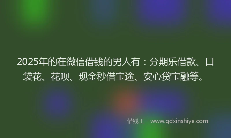 2025年的在微信借钱的男人有：分期乐借款、口袋花、花呗、现金秒借宝途、安心贷宝融等。