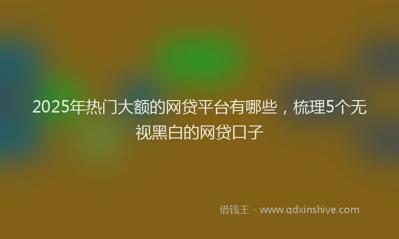 2025年热门大额的网贷平台有哪些，梳理5个无视黑白的网贷口子